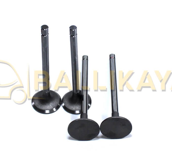 Egzoz Subap | Ballıkaya Forklift